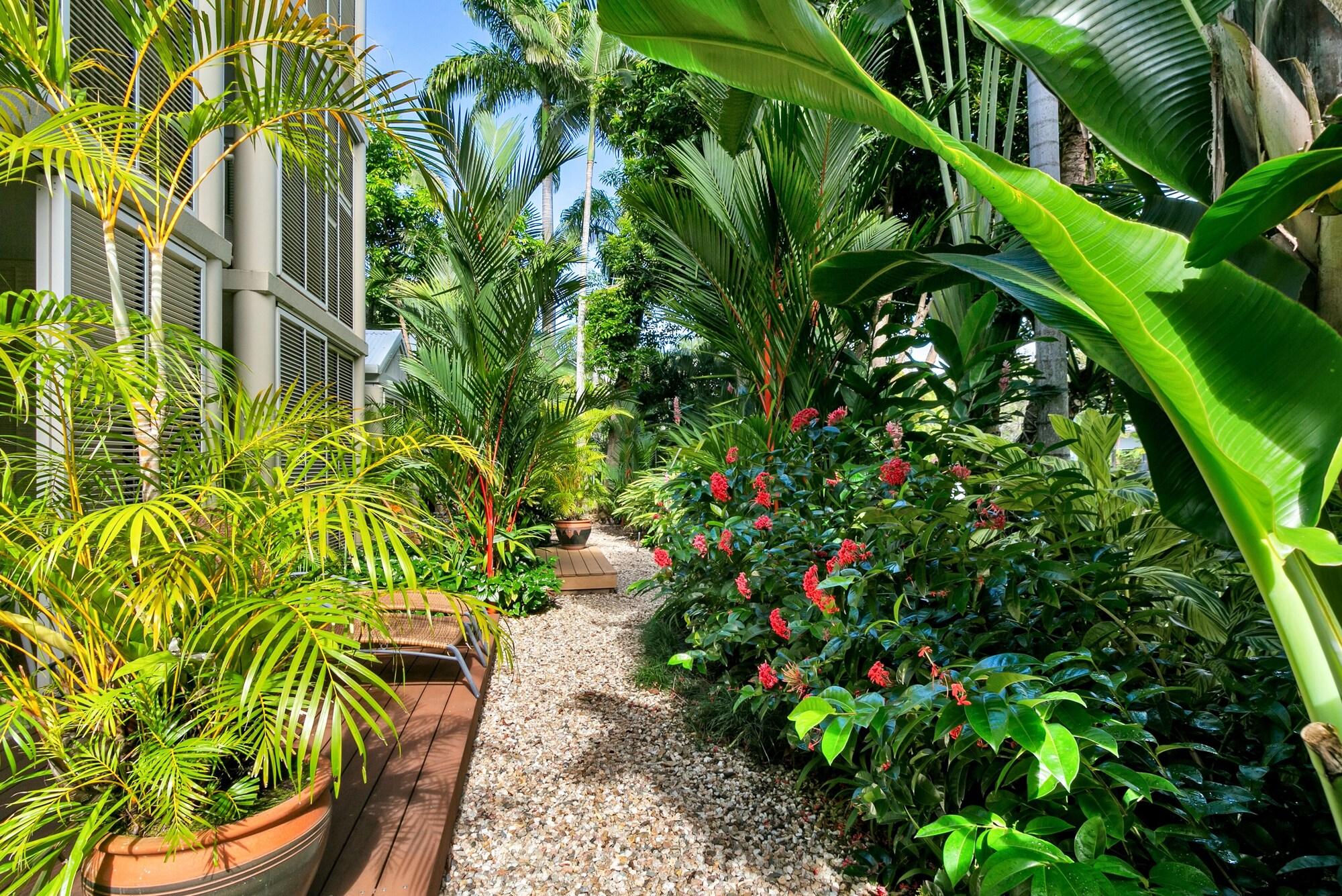 Port Douglas Apartments - Adults Only Oasis Eksteriør billede