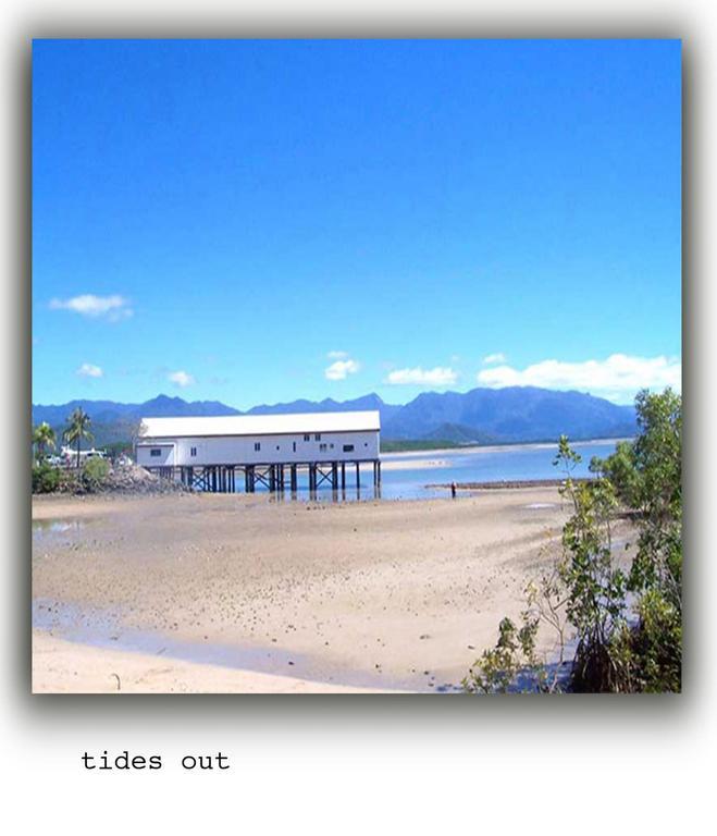 Port Douglas Apartments - Adults Only Oasis Eksteriør billede